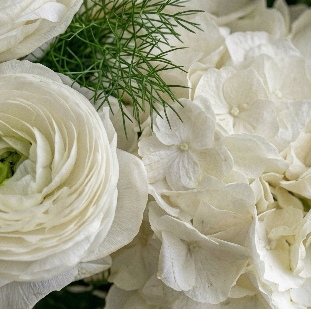 Ivory Grace — White Rose & Hydrangea Vase