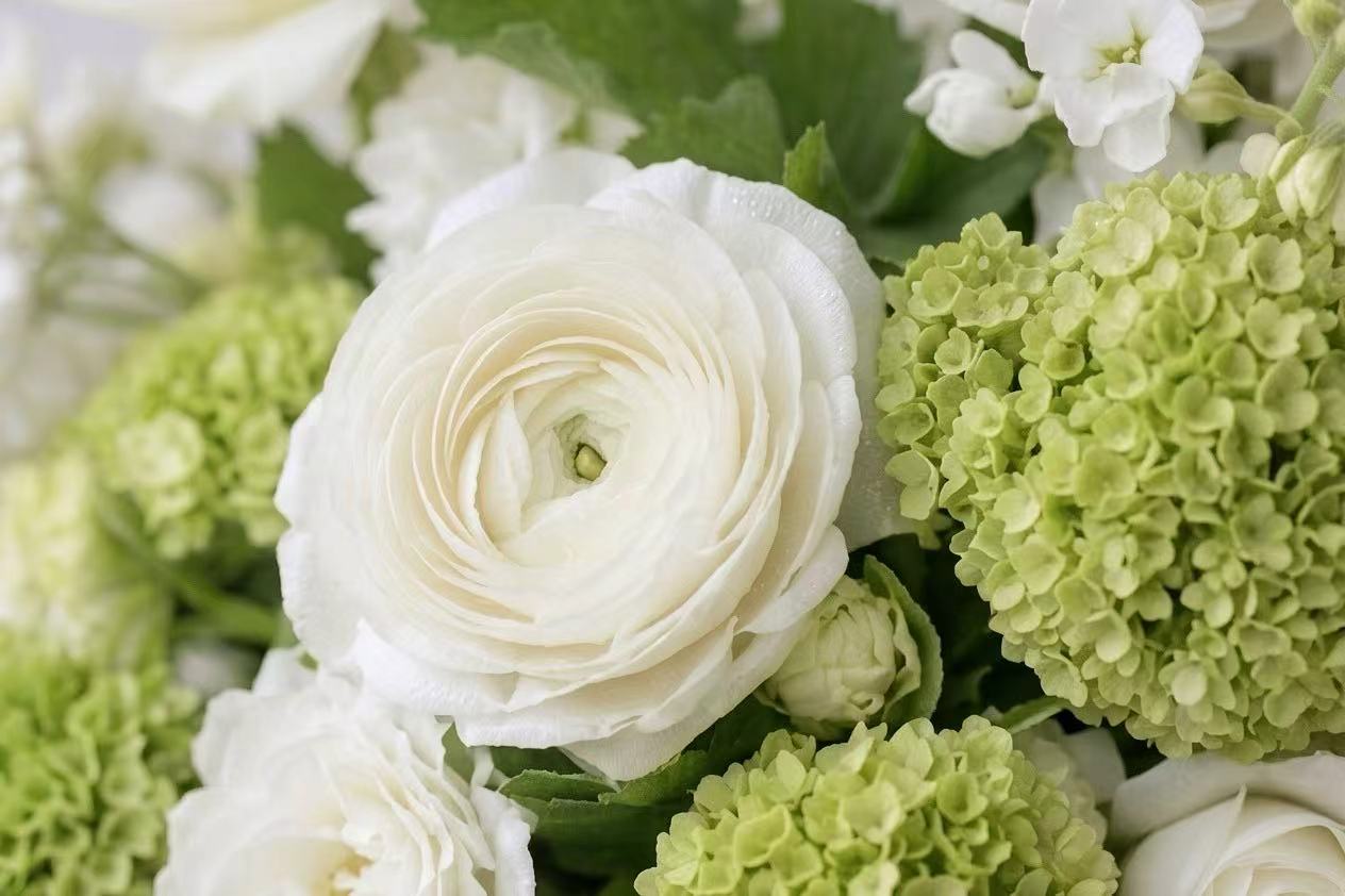 Garden Secret — White & Green Flower Vase